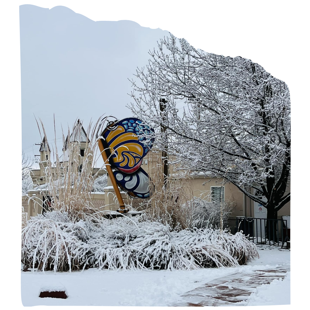 Winter at The Western Colorado Botanical Gardens