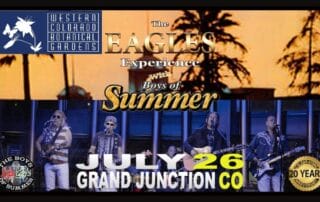 Boys Of Summer Concert