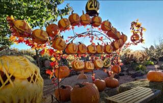 2023 Fall At The Gardens Harvest Illuminated.