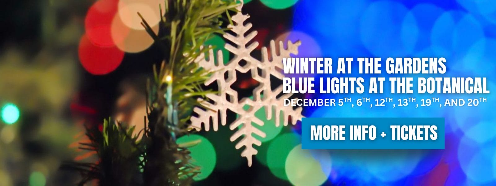 Winter at the Gardens Blue Lights at the Botanical
