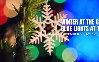 Winter at the Gardens Blue Lights at the Botanical