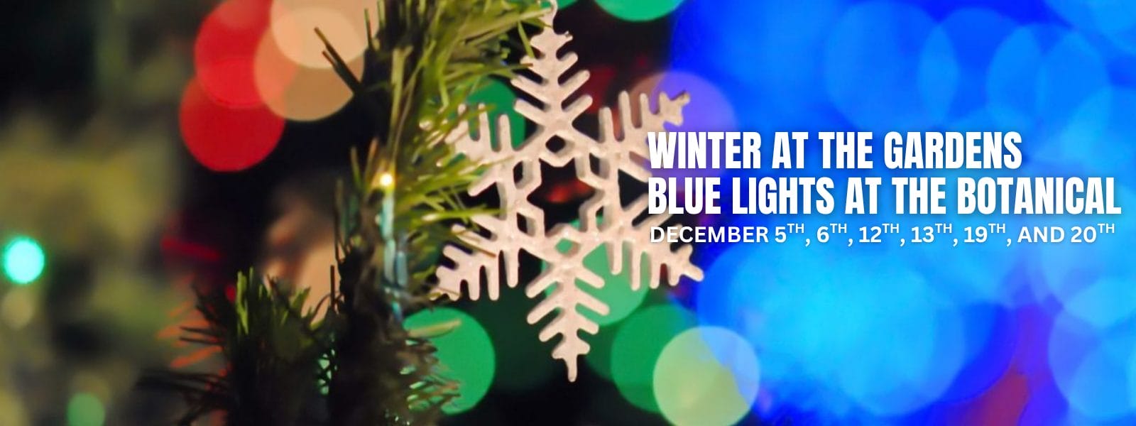 Winter at the Gardens Blue Lights at the Botanical