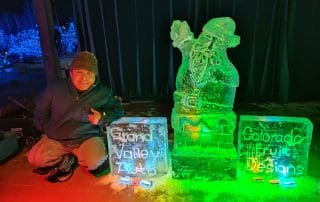 Winter at the Gardens Blue Lights at the Botanical