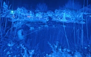 Winter at the Gardens Blue Lights at the Botanical