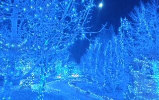 Winter at the Gardens Blue Lights at the Botanical